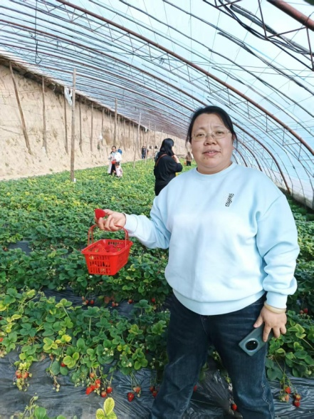 菠菜网