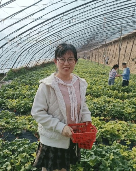 菠菜网
